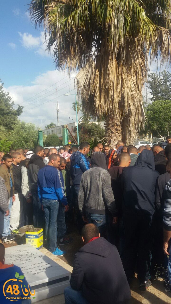 tashye3 sana3e lud (10).JPG